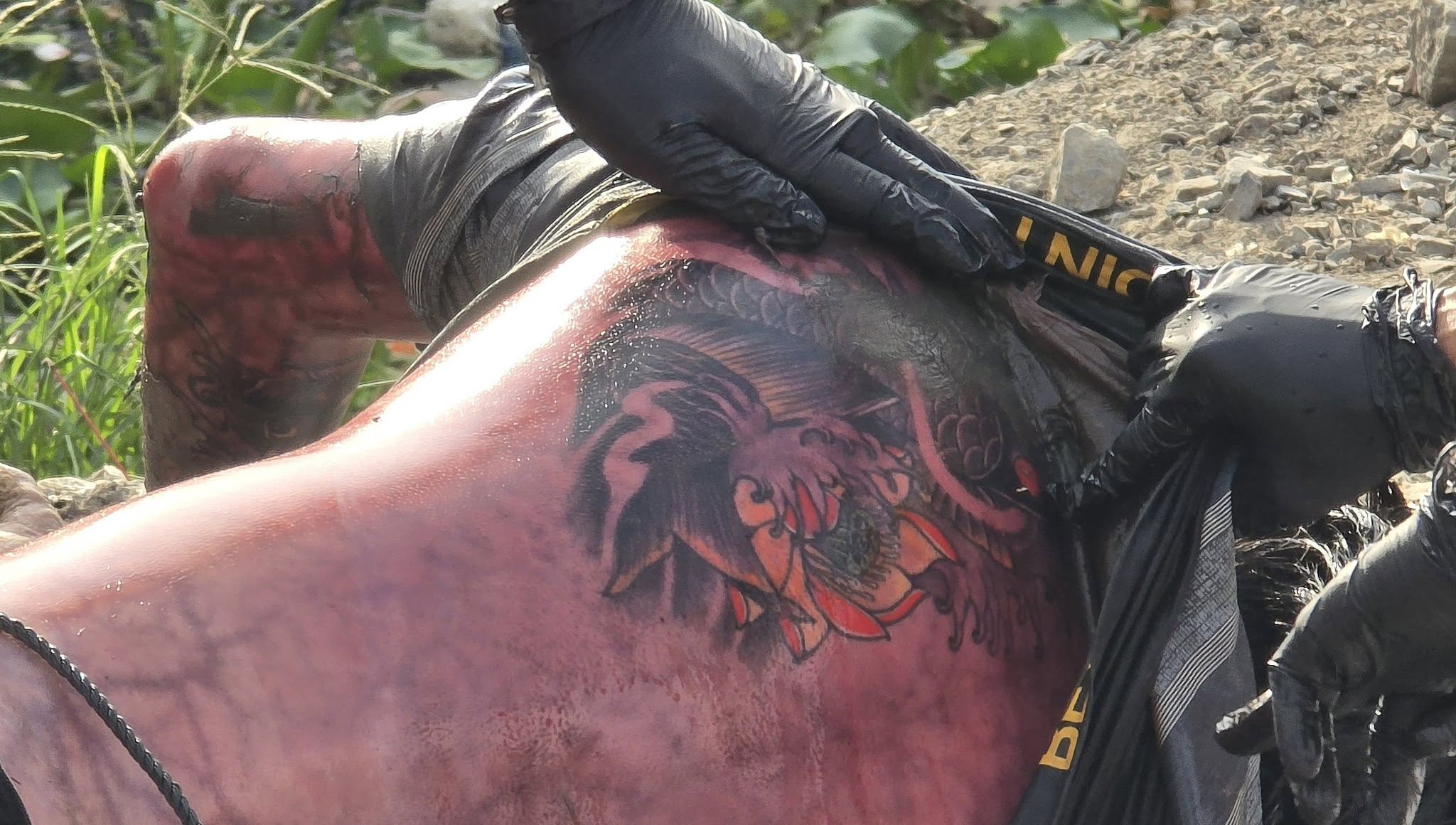 598019352650894798014208475337772897221217n