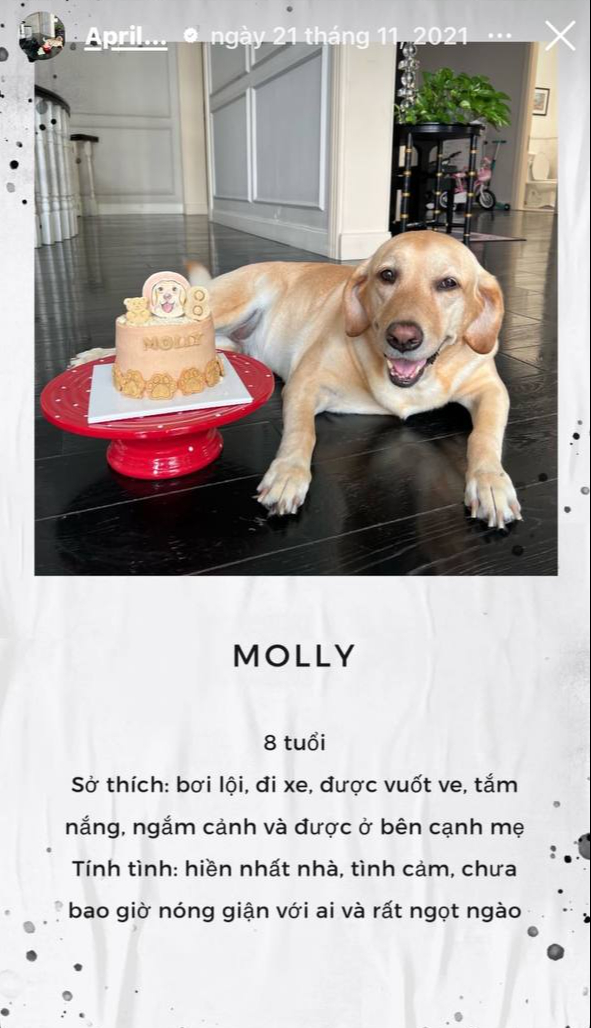 edit photo2025 02 1913 13 28 173994649121375929068 1739951645369 17399516454691188410742 1740019035897 17400190361581112508006 17660312923081541829086