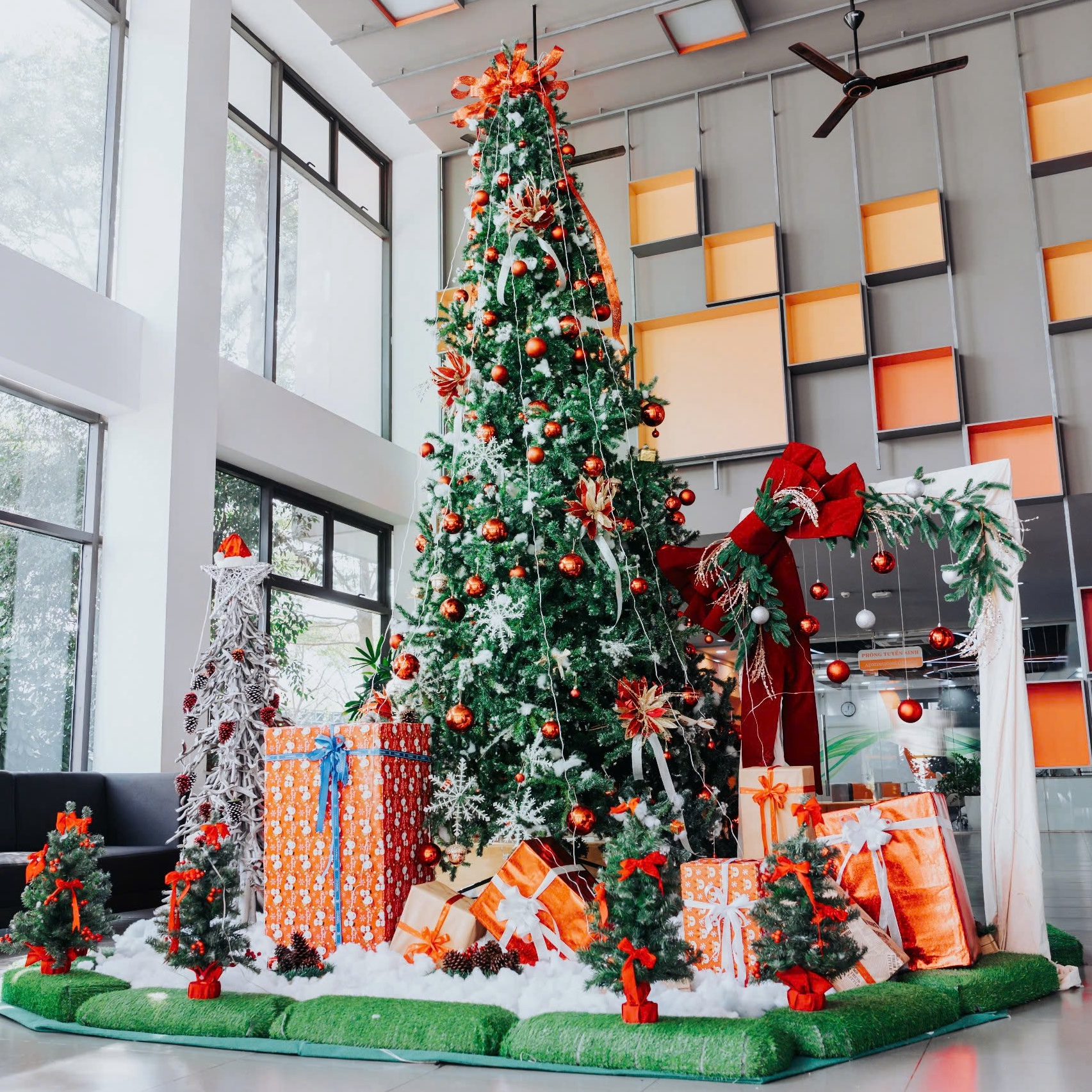 fptu ha noicay thong phia trong sanh alpha