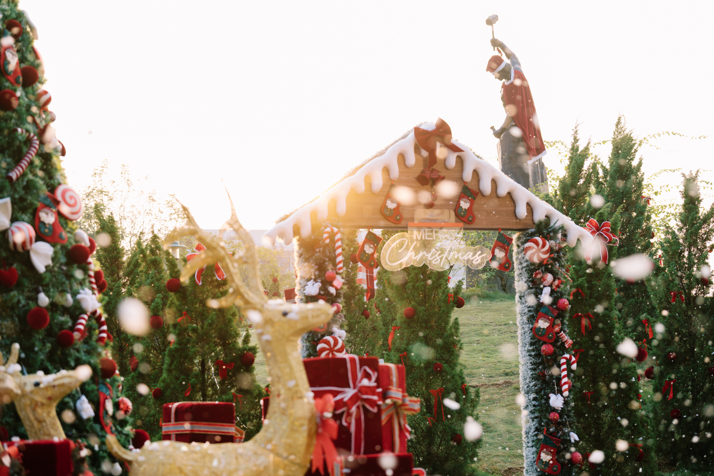 fptu ha noivuon tung 4 2