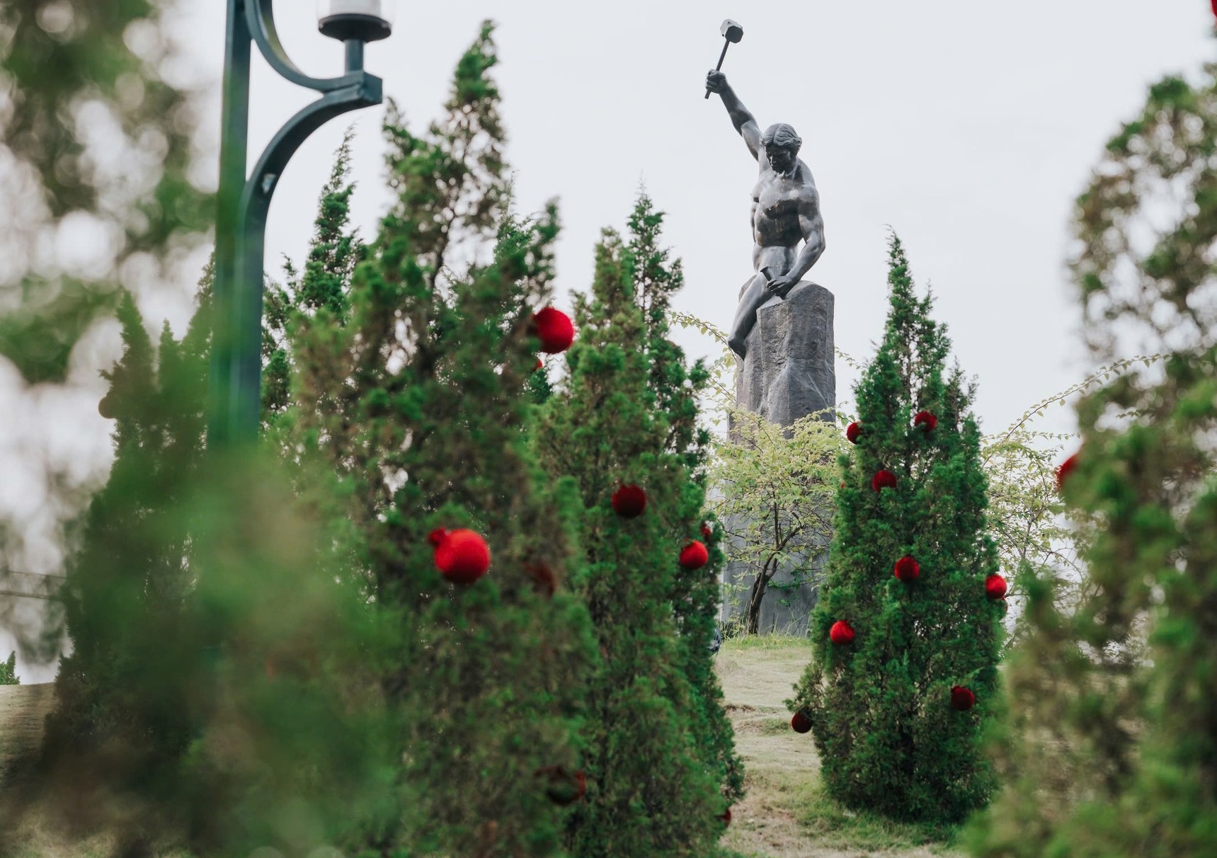 fptu ha noivuon tung 61