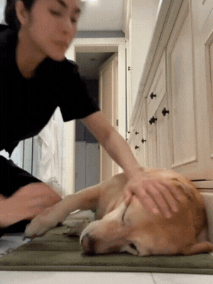 thiet ke chua co ten 2