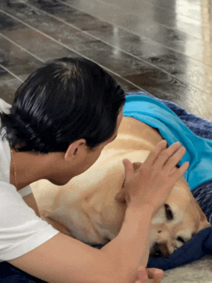 thiet ke chua co ten 4