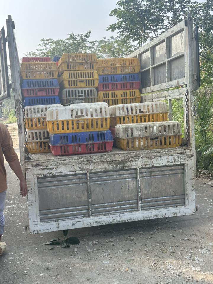 6004484368156633648094054714772498299762743n