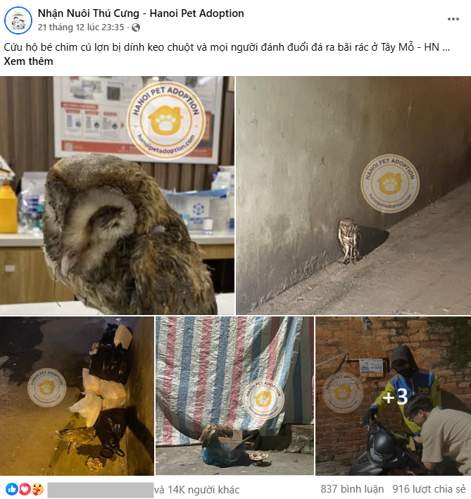 screenshot 2025 12 23 154526