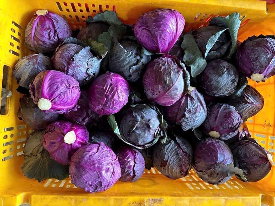 c3564fec6b2fc5a429dcb1c0a046cd21