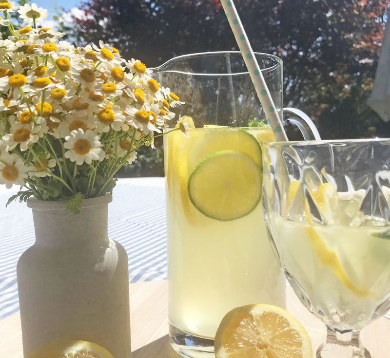 c36cec625fccc88c5f75f423f6a60896