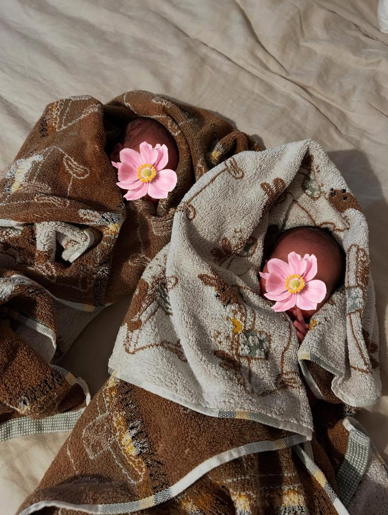 little mix alum jesy nelsons 118 1