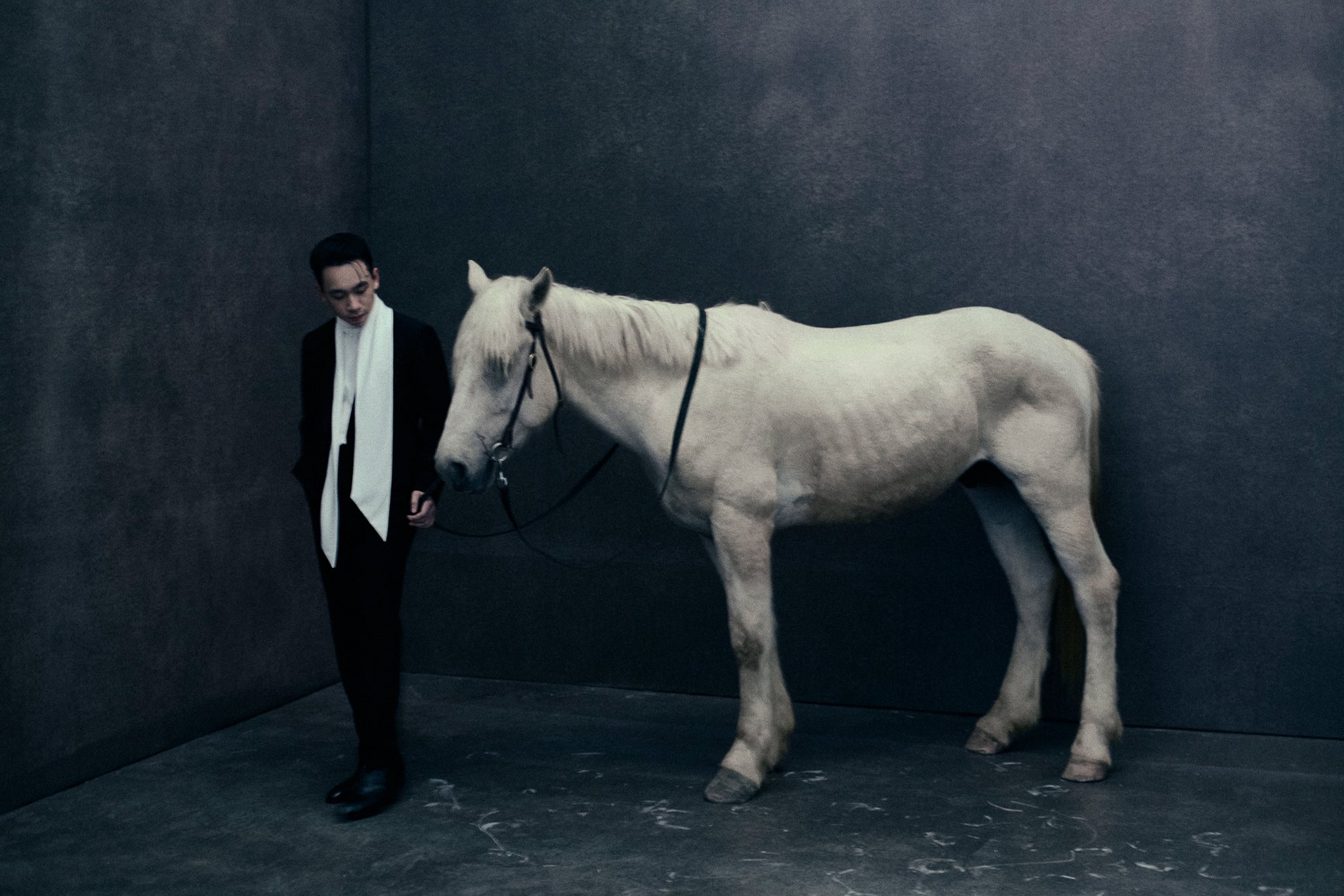 61940864012888841732747612535515109516175445n