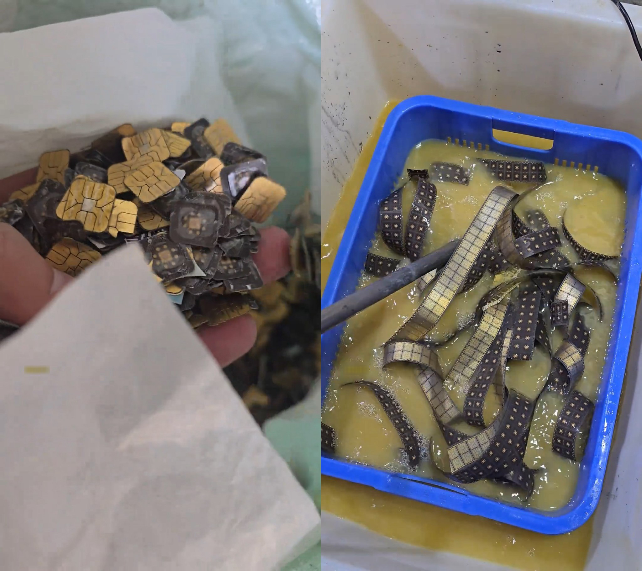 tiktokiocom1769150019drbosv0tpkpgw3ielaldmp4snapshot000920260123145317 copy