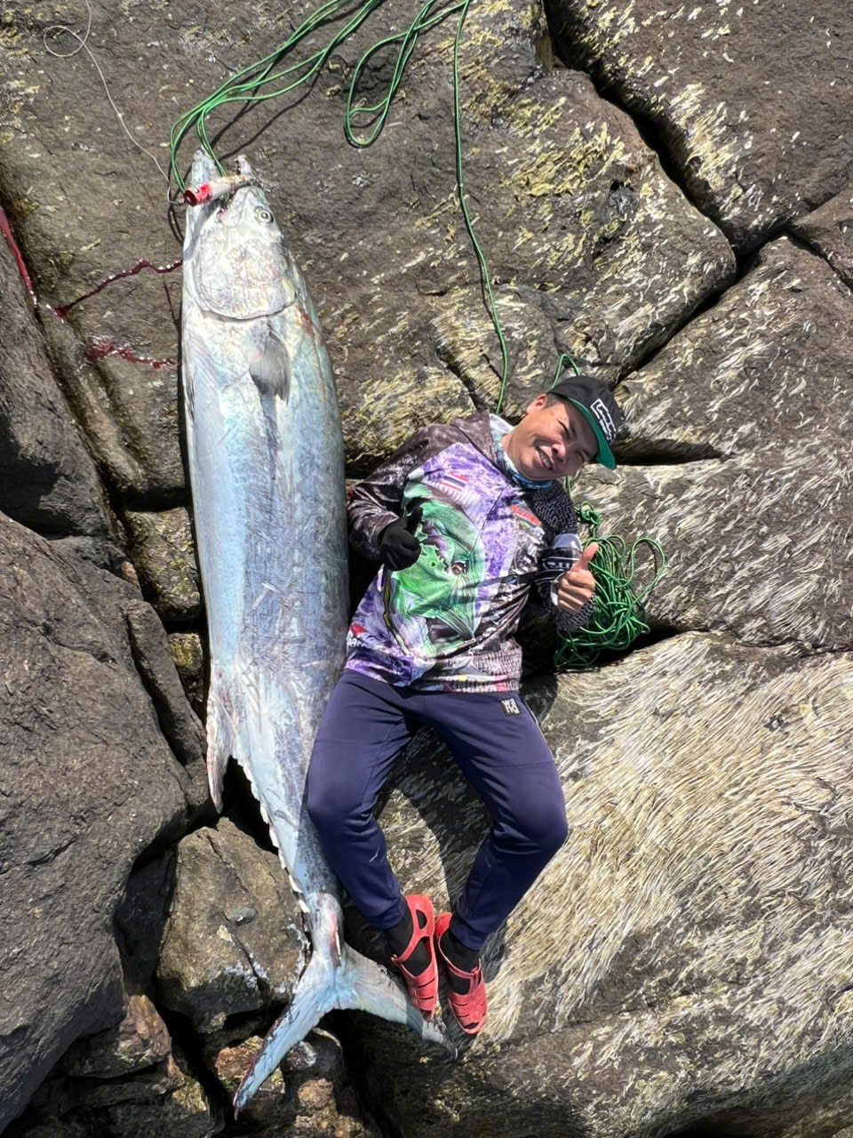 z749598703215208664e00c135032b375e1004bd0021551