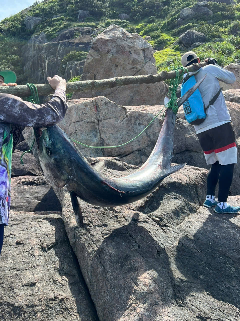 z7495987032153433cca2cf1eb4c399fc5ad76a50a117f