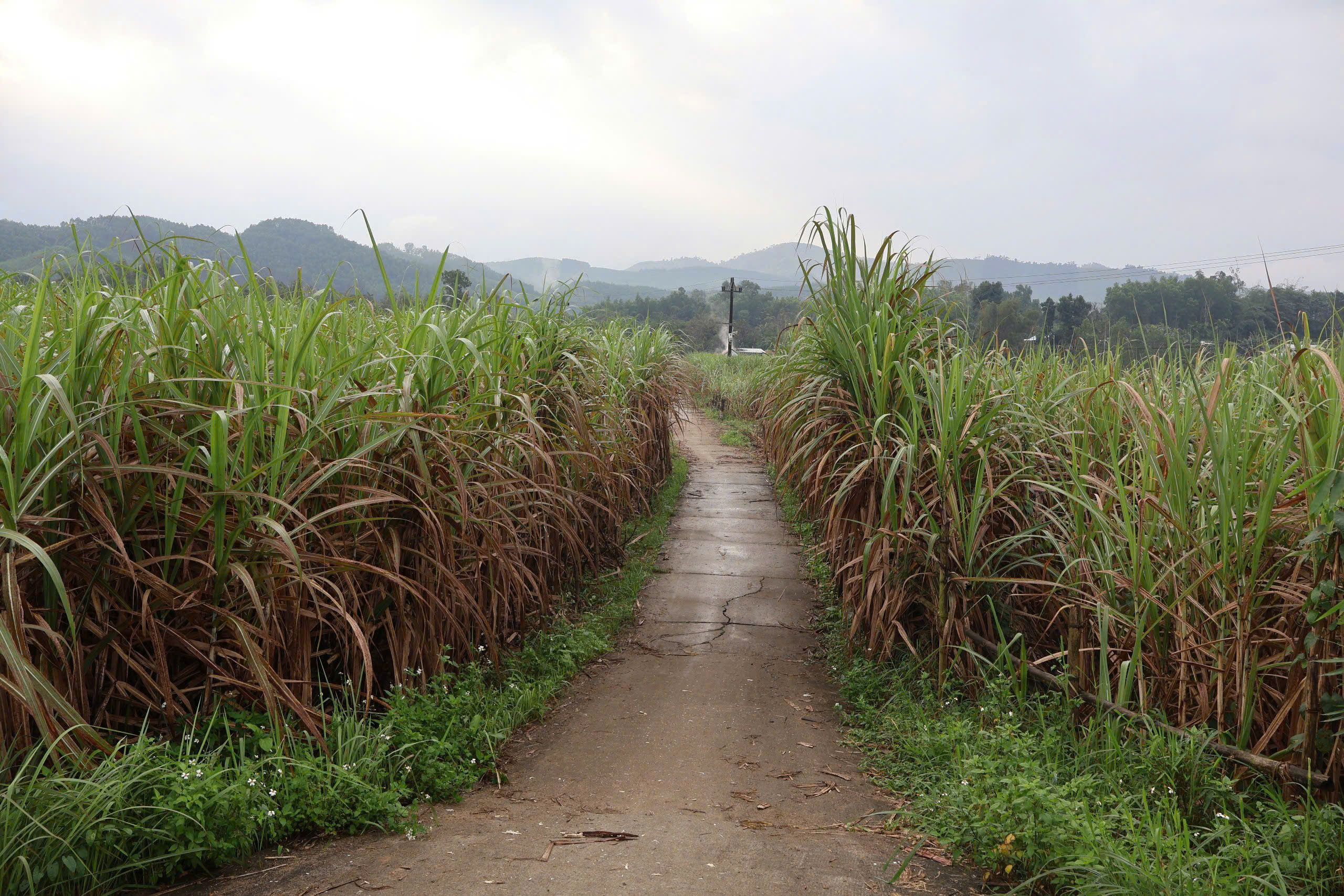 z7516420076743bf377a7cd58b82d2931c78792418db03