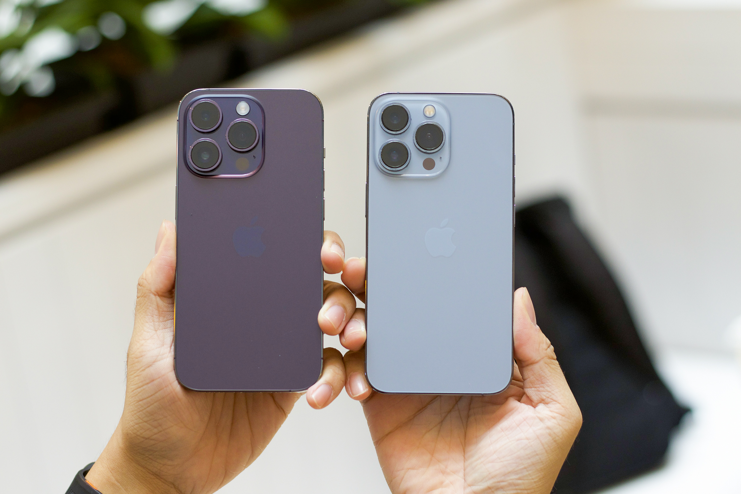 bb333f43 2c7e 4690 a654 95101af515cc 6204 copy