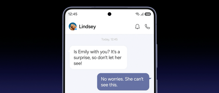 privacy display privacy display