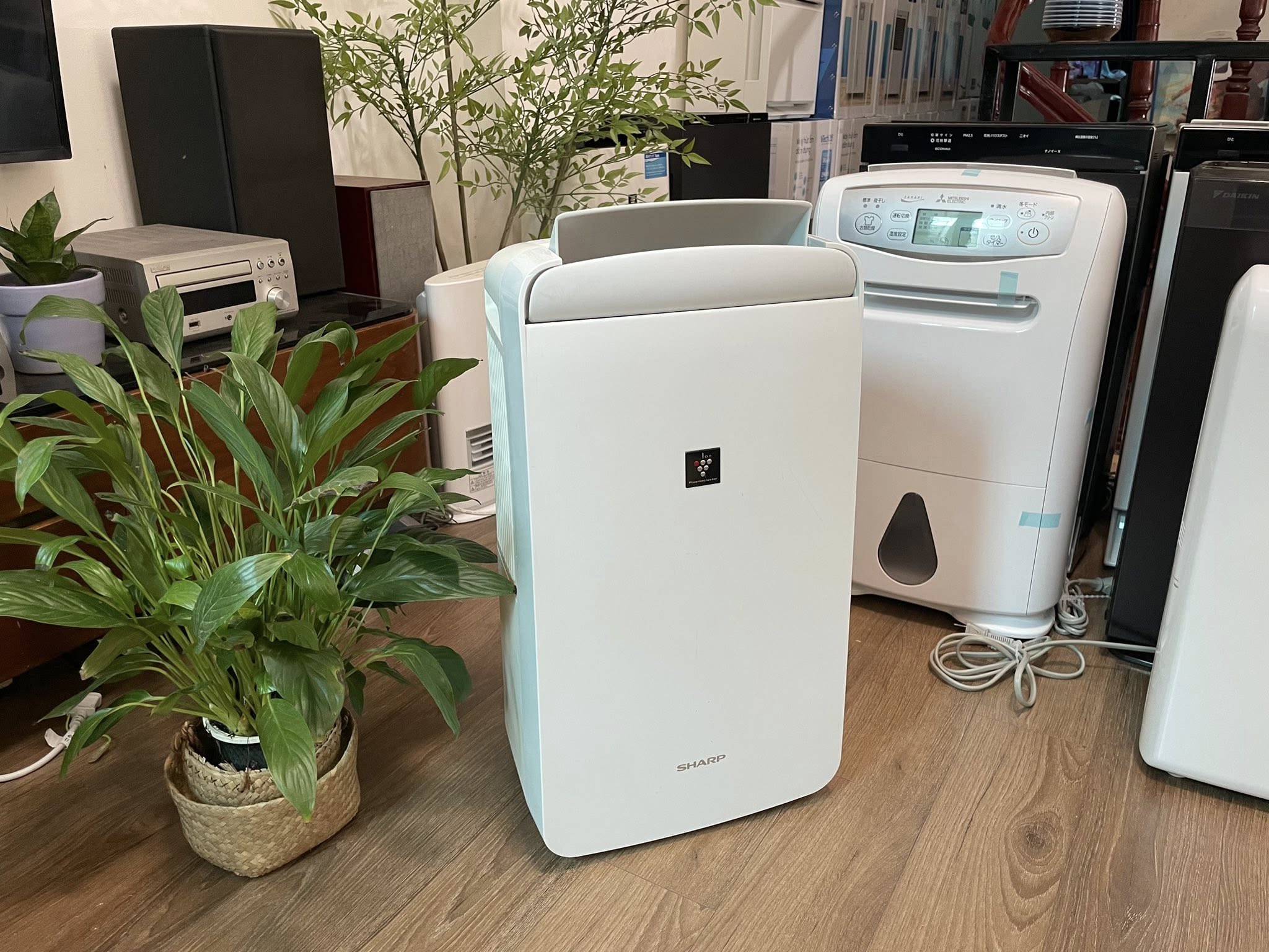 63130920313328321322074284678363793268842107n