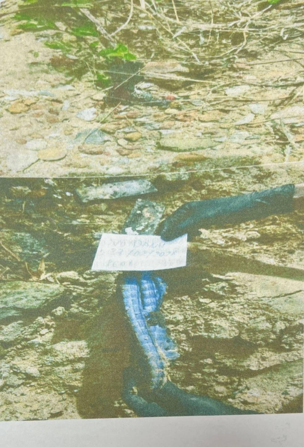 6416720599278636563984091941967439987855987n