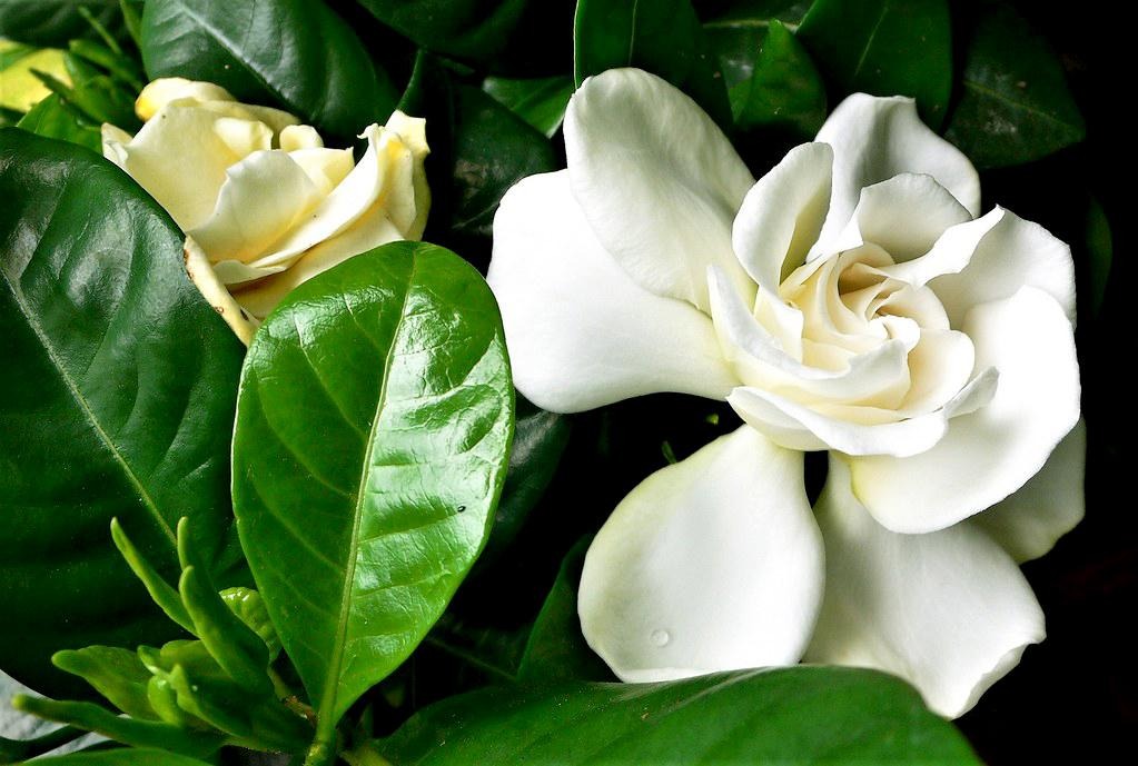 image9 1659059449 548 width1023h