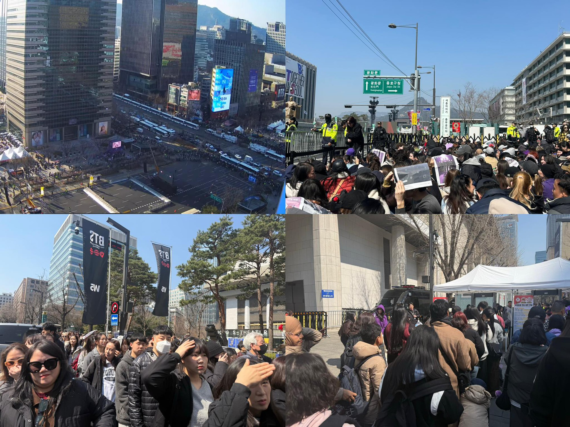 65443698041813066587597886046081106426811762n 1774081174591 17740811748301853985869