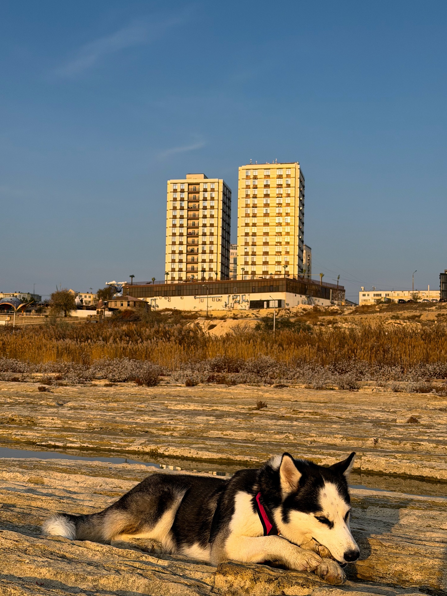 chubbytrekka3773849728459515917s2026 3 26 1839155 story