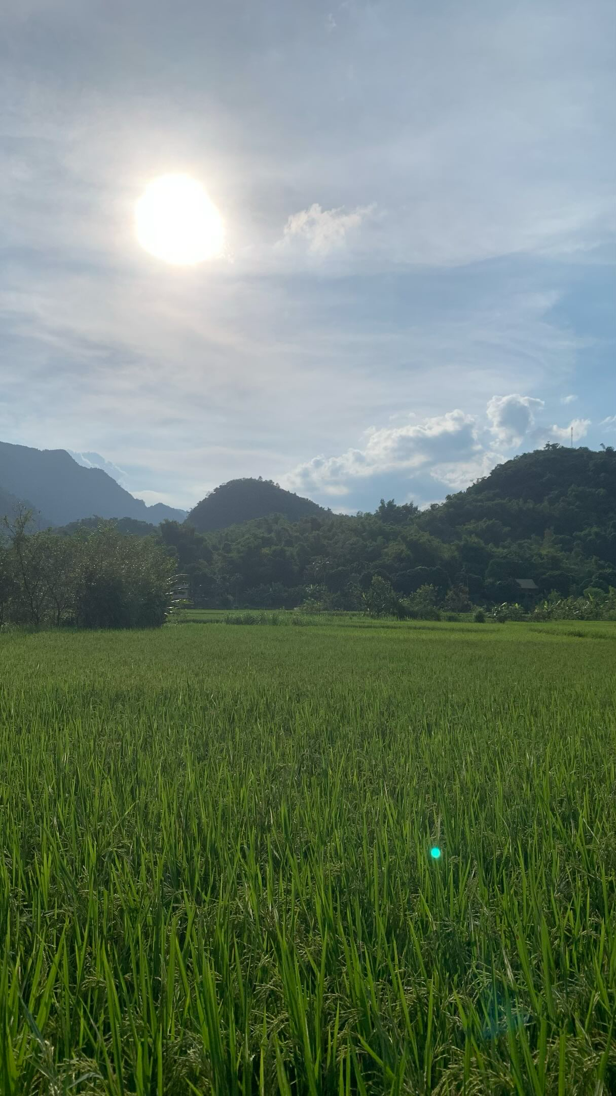 656507958179279881712527116416