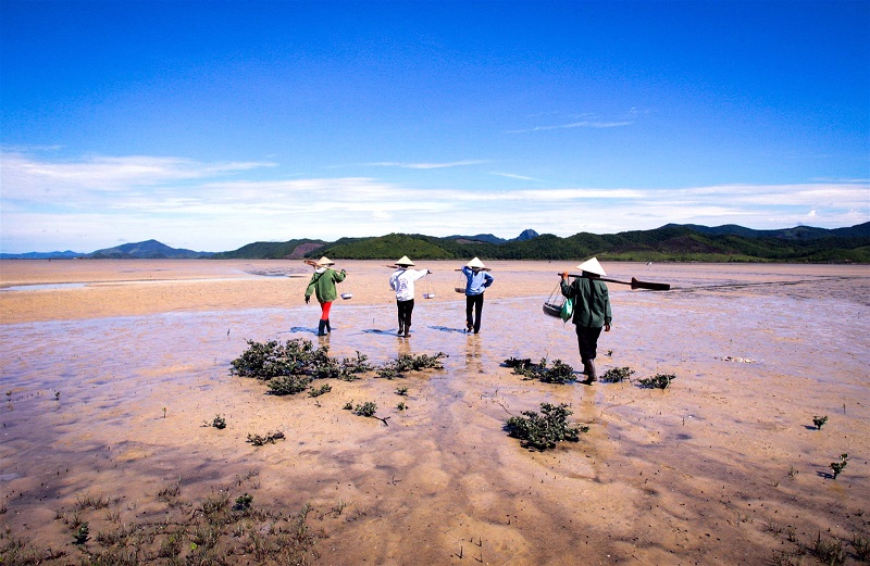 sa sung kho quang ninh 2
