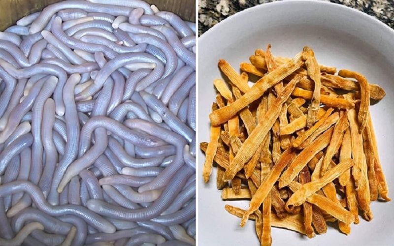 sa sung kho quang ninh 4