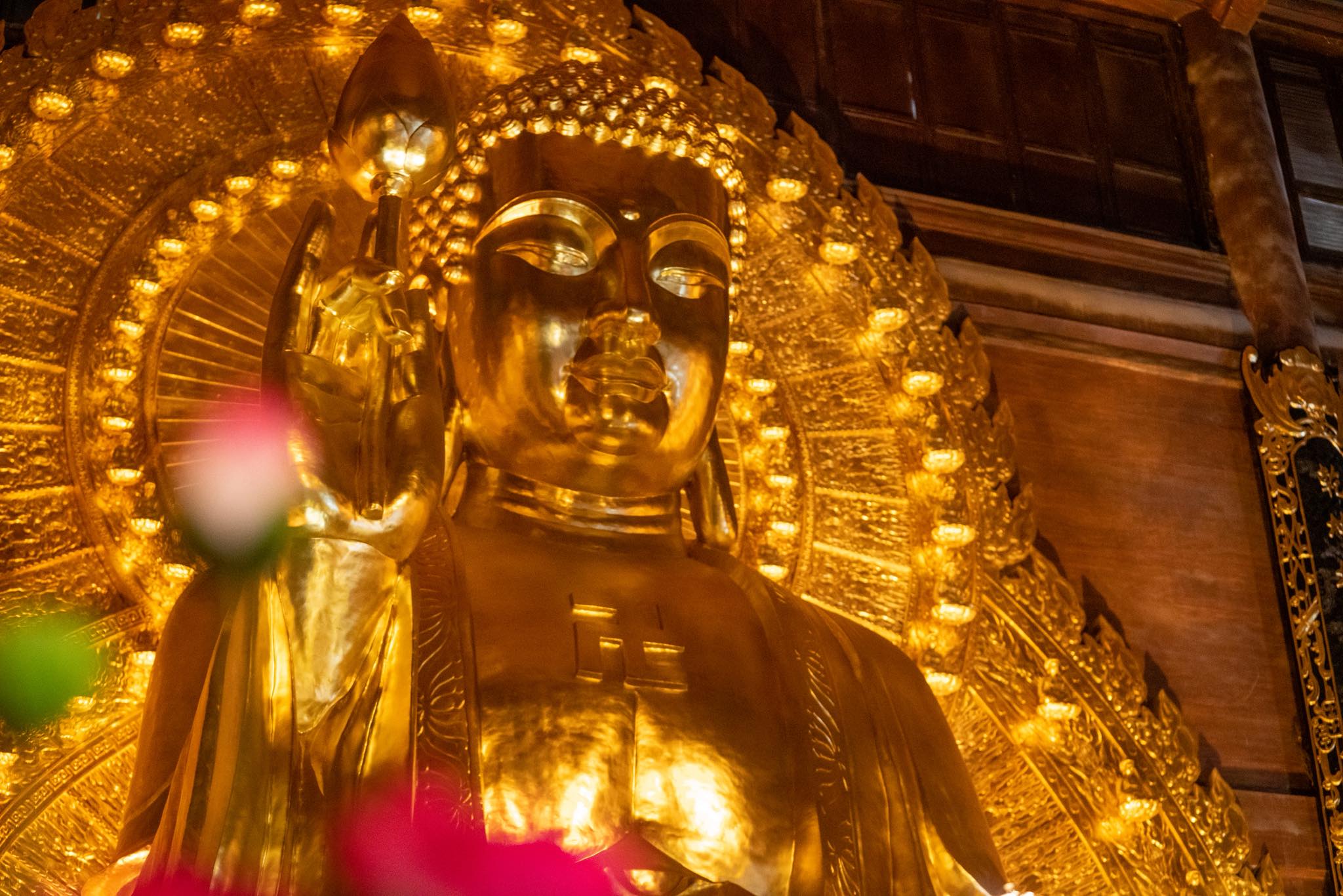 5182525631307296284735117601402758260481934n