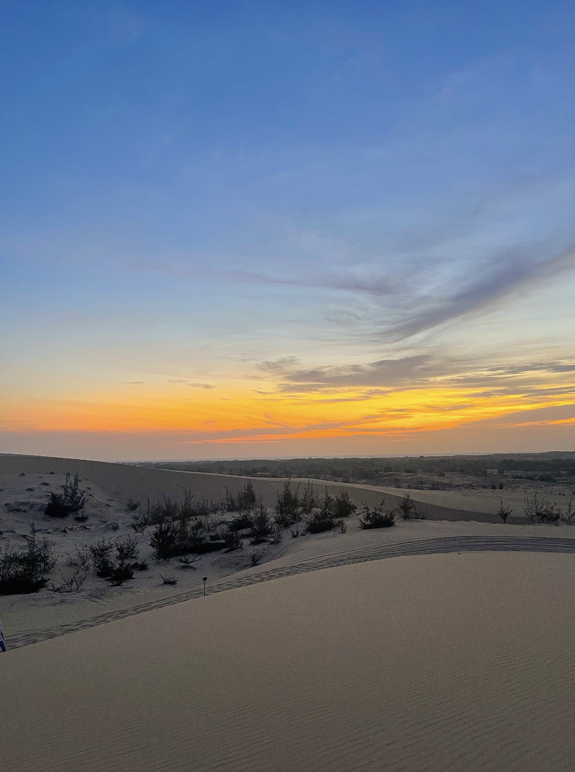 screenshot 2026 04 09 at 1104291