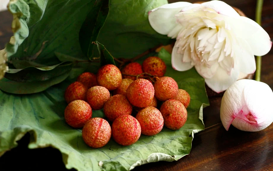 photo2026 04 1018 50 15