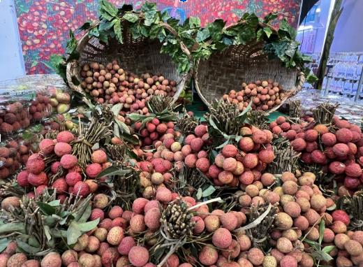 photo2026 04 1018 50 20