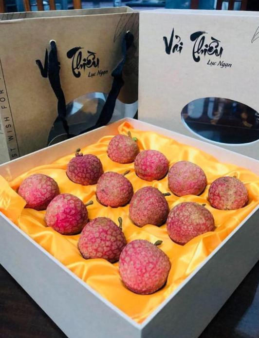 photo2026 04 1018 50 23