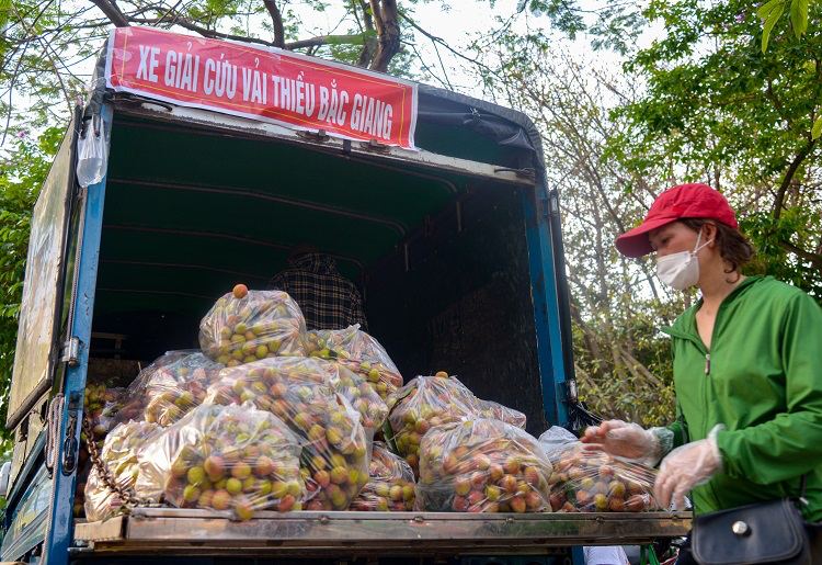 photo2026 04 1019 13 24