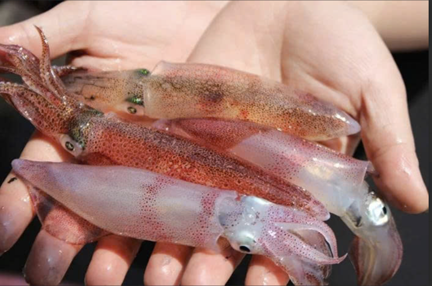 anh man hinh 2026 04 14 luc 123306