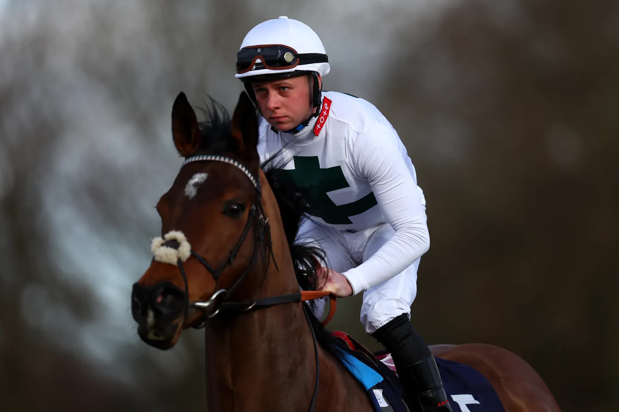 levi williams rides super den 980953139468c37 17761272126261221451798