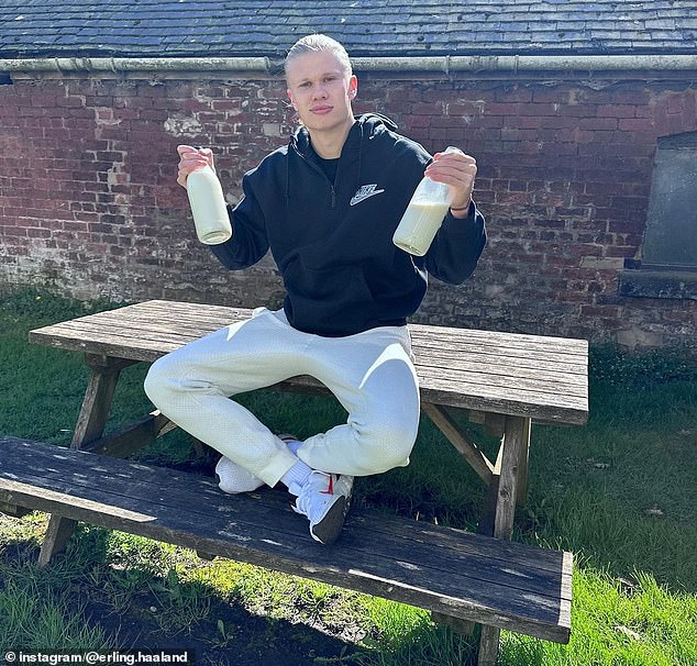 83549229 15748379 thereisplentyofmilkwhichhaalandcalledhismagicpotionas a 31776690725457 177669408576925787294