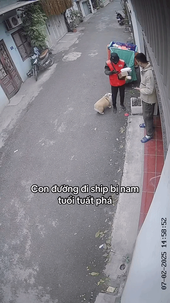 yeucuncuckiii ezgifcom video to gif converter