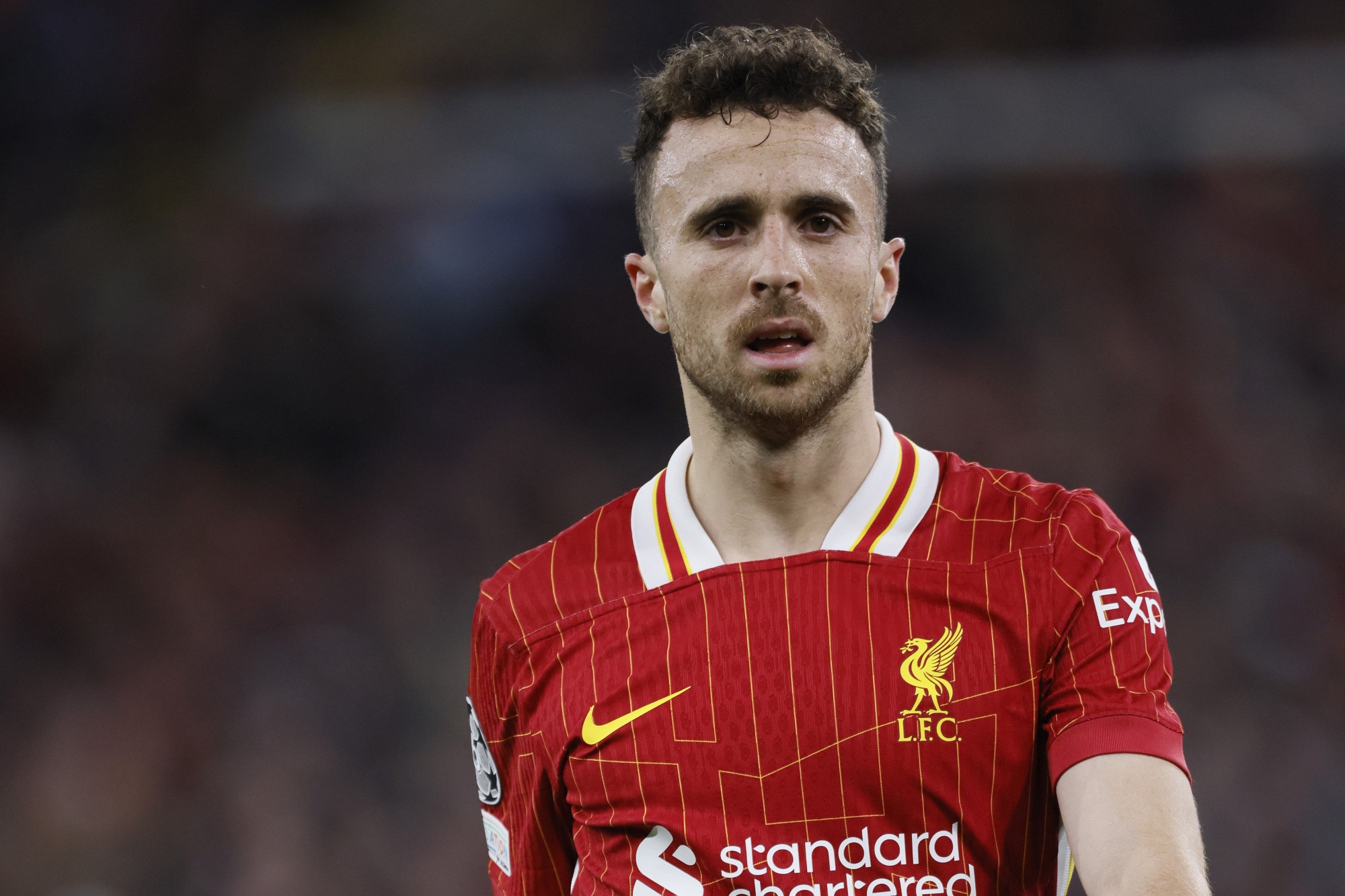 diogo jota liverpool 1777165713217934516176