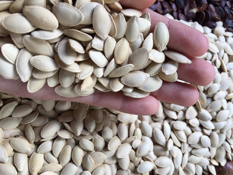 loi khuyen den nhung gia dinh dang trong cay bi do anh4