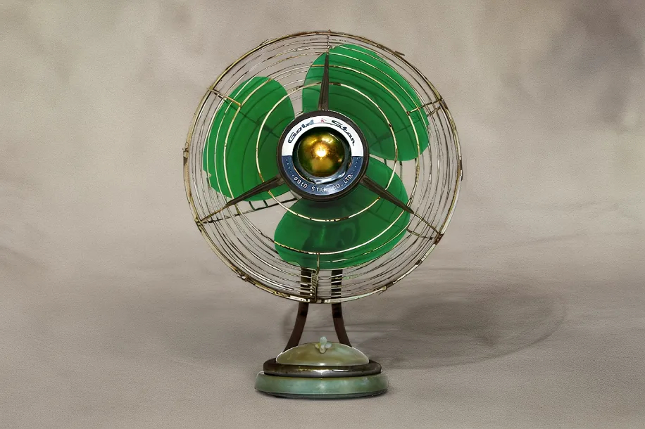 original d 301 lg fan