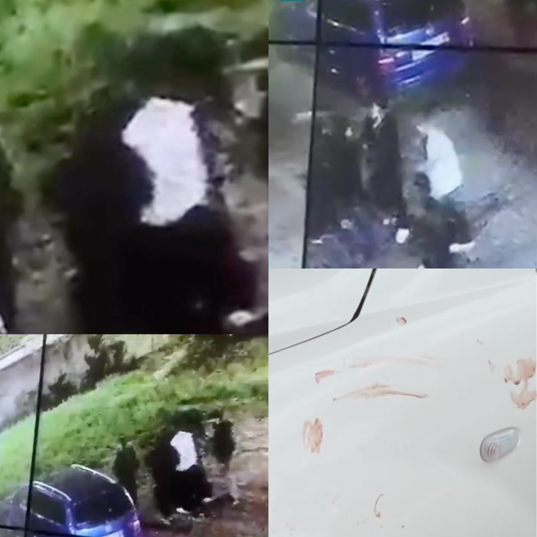 brown modern happy family photo collage