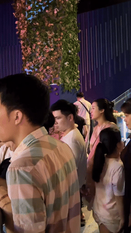 gif 1