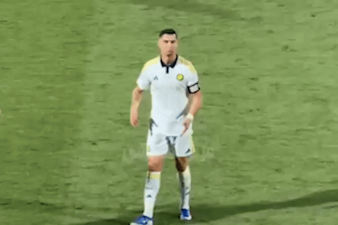 gif 2