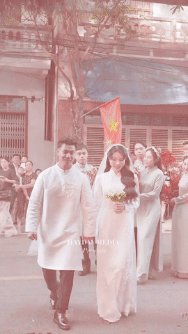 gif 7