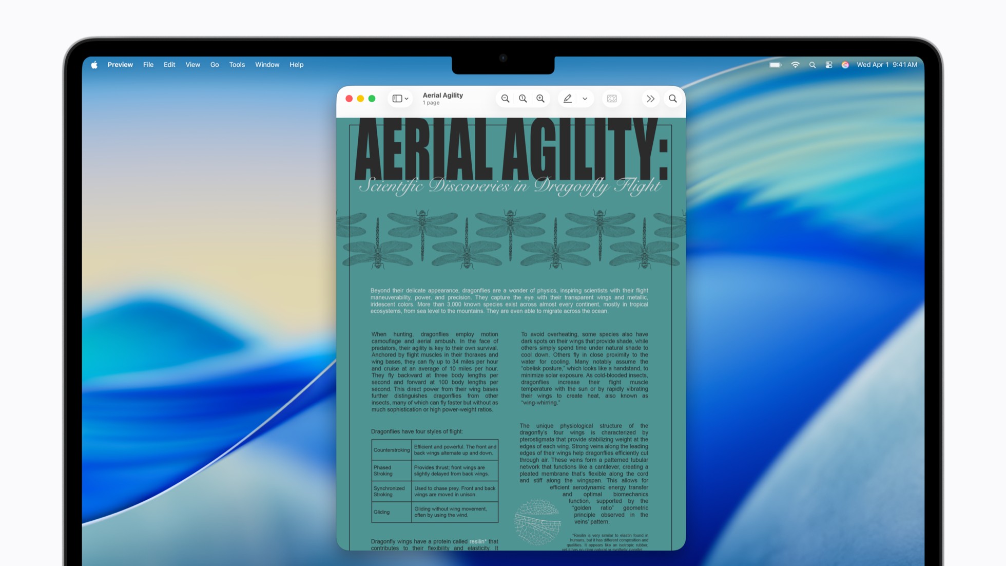 apple accessibility features accessibility reader on mac beforebigjpglarge2x apple accessibility features accessibility reader on mac beforebigjpglarge2x