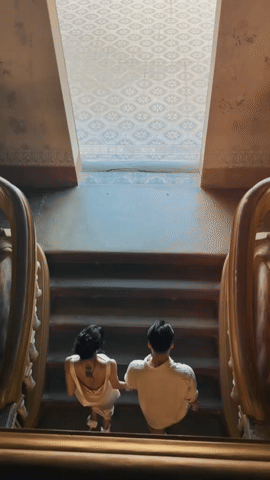 gif 12