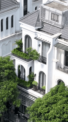 gif 15