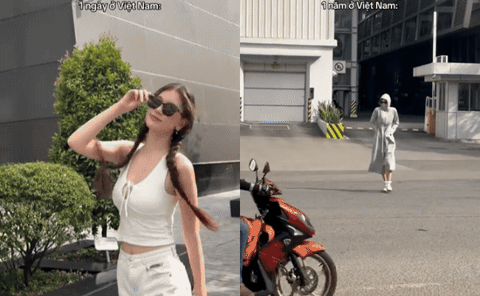 gif 5
