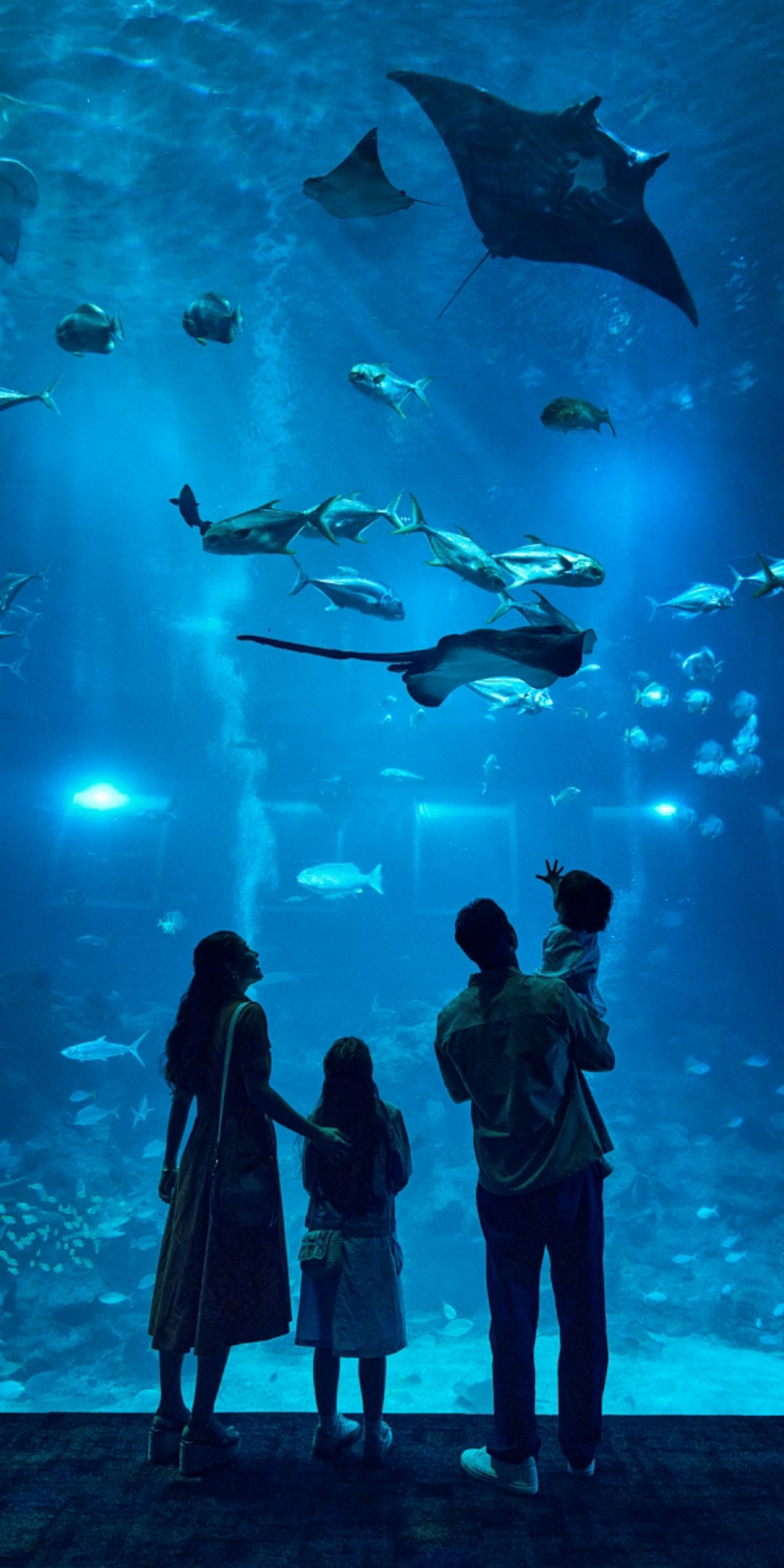 oceanoceanfamily202509081by2