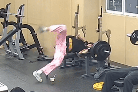 gif 3